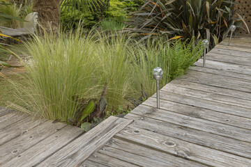 Graminée stipa tenuissima en bord de terrasse en bois