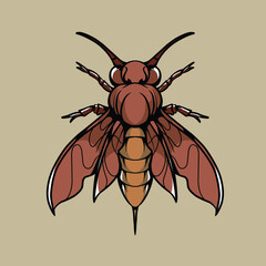 illustration of a insect