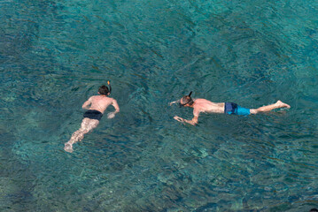 people snorkeling in the sea, watching marine life on the shores of the galapagos islands - obrazy, fototapety, plakaty