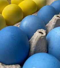 Easter eggs painted in the colors of the Ukrainian flag. Decoration for the festive table in traditional Ukrainian colors. Patriot colors. Colored eggs in a cardboard tray.