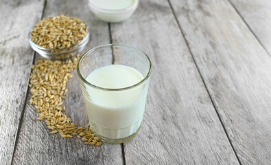 Vegan barley milk, barley grains, on a wooden table, non-dairy alternative milk, copy space