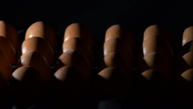 Brown eggs gyrating with black background