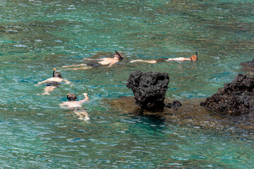 people snorkeling in the sea, watching marine life on the shores of the galapagos islands