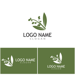 olive icon vector illustration design template