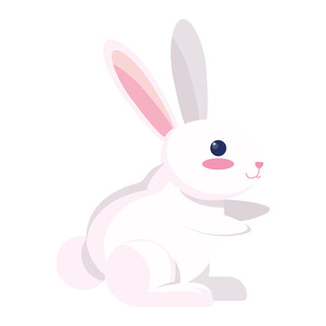 white bunny desgin