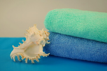 Two soft terry towels with a shell for a holiday at sea. Items for cleanliness and hygiene. Space for text.	