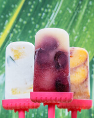 Cocktail-Eis am Stiel mit frischen Früchten
Ki-Ba,Pina Colada, Pfirsich Punch
