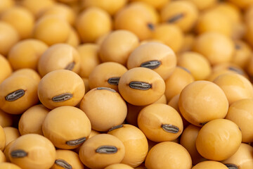 Closeup of soybean seeds. Agriculture trade, farming, and soy biofuel concept.
