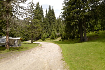 camping zone near trail path with trees
