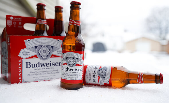 Marinette,WI,USA -Dec1-2021: An outdoor vendor sells Budweiser beer chilled on a table with lots of Snow. Bottles of Bud beer, an American-style pale lager produced by Anheuser-Busch.