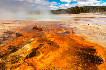 thermo spring at Yellowstone national park