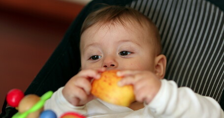 Fototapeta na wymiar Cute baby eating apple fruit. Infant boy eats healty snack
