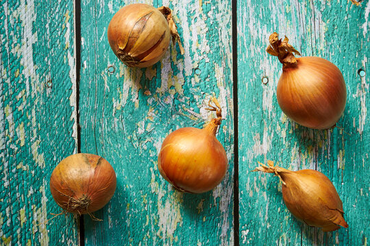 cebule na zielonym drewnianym stole 