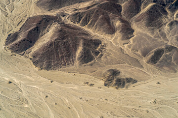 Nazca Lines (Alien)