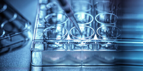 Pharmaceutical Research, Pipetting sample into a multi well plate