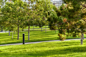 Sidewalk through a park with fresh green grass lawn and trees around and bright houses in the background at sunrise