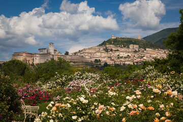 Beautiful view of the ancient town of Assisi with roses, Umbria, Italy