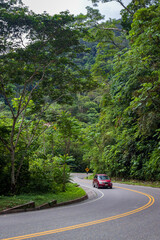 An adventure by car on a paved road and the view of the Amazon jungle.
