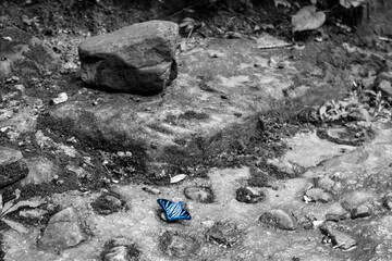 Minimalist natural wonder with a grayscale background.