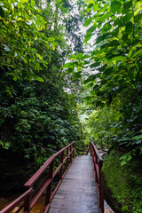 Fototapeta premium Crossing an old wooden bridge in a Peruvian Amazon National Reserve.