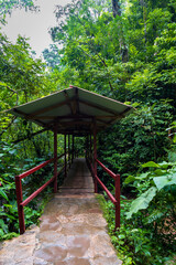 Beautiful design of an Asian style stone bridge in the Peruvian jungle.