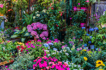 Fototapeta na wymiar colorful flower kiosk business in Italy