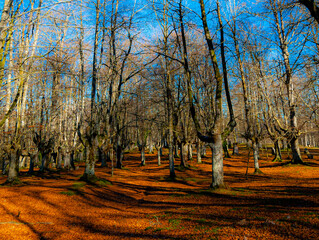 URKIOLA NATURAL PARK, ALAVA, BASQUE COUNTRY, SPAIN