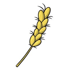 Yellow ripe ear, rye cereals, vector cartoon illustration