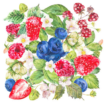 Watercolor summer berries greeting card. Fruits, strawberries, blueberiies isolated on white