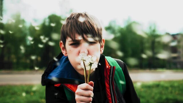 The boy blows on the dandelions and blows the seeds off them. Slow motion shots