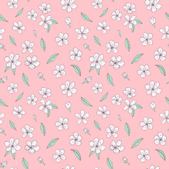 Seamless vector pattern of sakura flowers. Decoration print for wrapping, wallpaper, fabric, textile. Spring background. Cherry blossoms. 