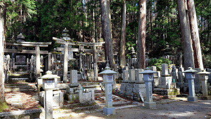 Fototapeta na wymiar A small, secluded temple town has developed around the sect's headquarters that Kobo Daishi built on Koyasan's wooded mountaintop. Since then over one hundred temples have sprung up along the streets 