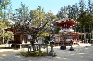 A small, secluded&nbsp;temple&nbsp;town has developed around the sect's headquarters that Kobo Daishi built on Koyasan's wooded mountaintop. Since then over one hundred&nbsp;temples&nbsp;have sprung up along the streets 