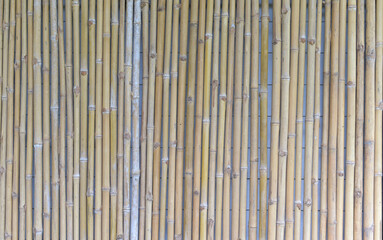 Bamboo texture panel background