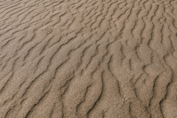 Yellow sand dunes as backdrop. Hot weather in desert, lack of water, soil erosion