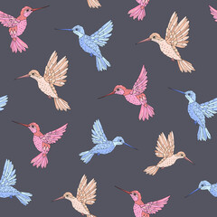 Vector seamless pattern with hummingbird. Decoration print for wrapping, wallpaper, fabric. Seamless vector texture.