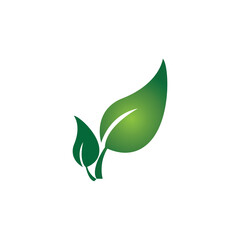 leave logo vector design and icon