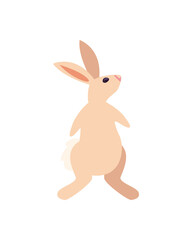 flat standing rabbit design