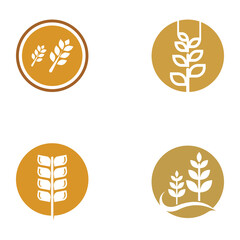 Wheat or cereal logo, wheat field and wheat farm logo.With easy and simple editing illustrations.