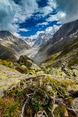 Fototapeta premium Beautiful glacier valley Mer du Glace in the French Alps in summer