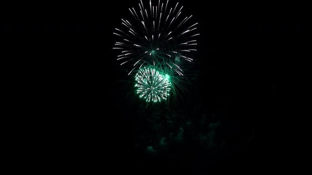 Various fireworks on the black night sky. Video in 4k resolution.