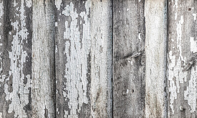 Wooden fence with old cracked lime paint