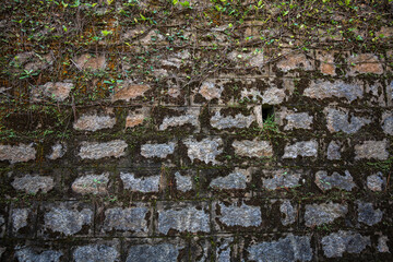 stone wall with moss