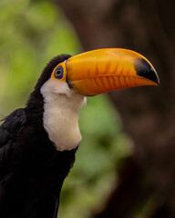 🇧🇷 Joaquim Egídio/SP • Brasil
📸 Felipe Andreucci