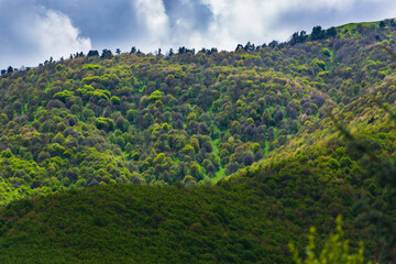 Fototapeta na wymiar Spring landscape with forest and mountains, Armenia