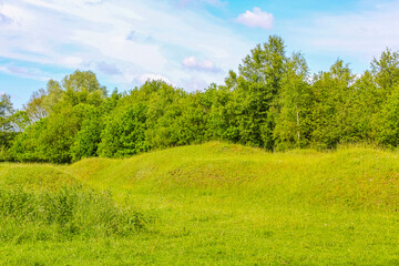 Blue sky with beautiful natural forest landscape panorama Germany.