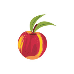flat fresh peach design