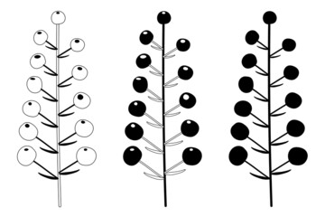 Vector set, plant stem with flowers. Flat style
