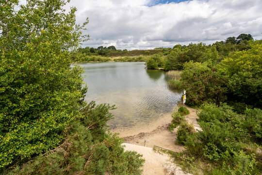 Ham Common Lake In Spring