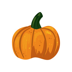 flat fresh pumpkin design
